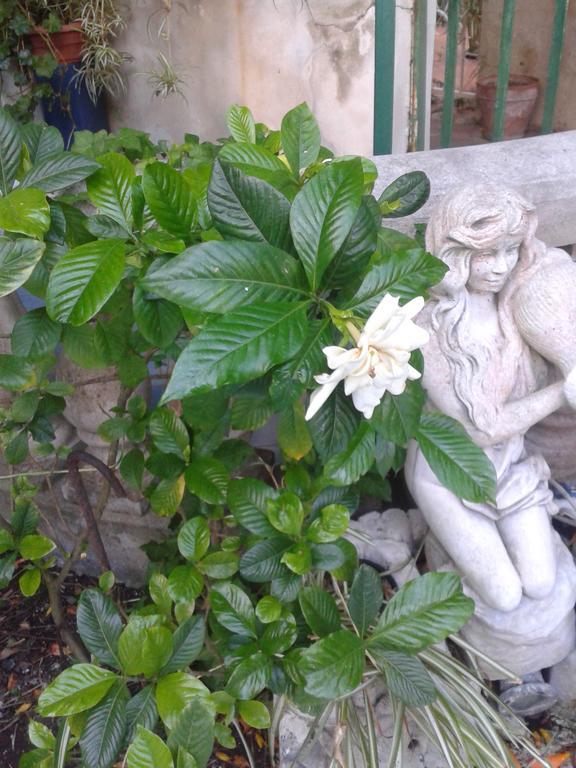 B&B Albatros Lipari  Eksteriør bilde